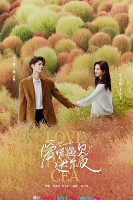 日本一夫多妻海报剧照